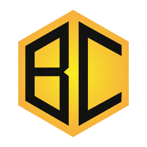 Bonacube logo